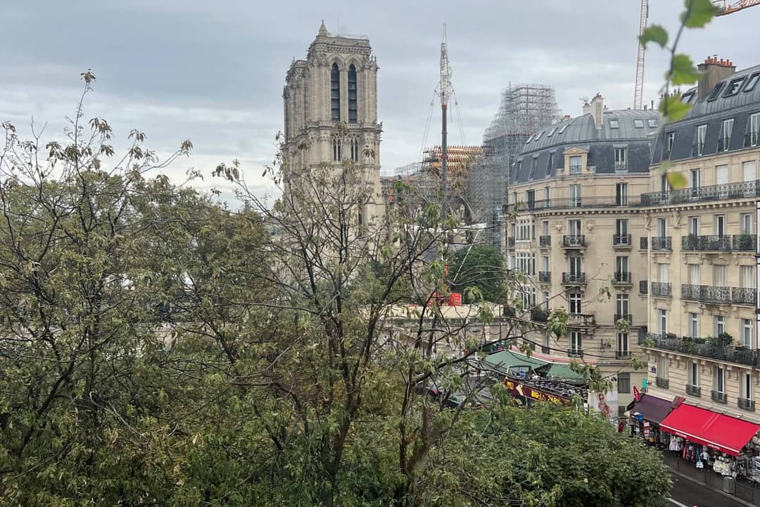 Bureau opéré 6 Rue du Fouarre, Paris