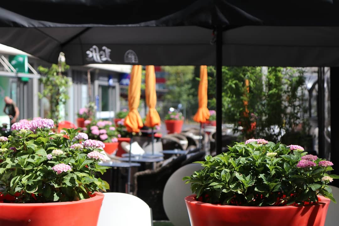 Centre de coworking Centre d'Affaires Ginkgo The Southlane, Esch-sur-Alzette – photo 4