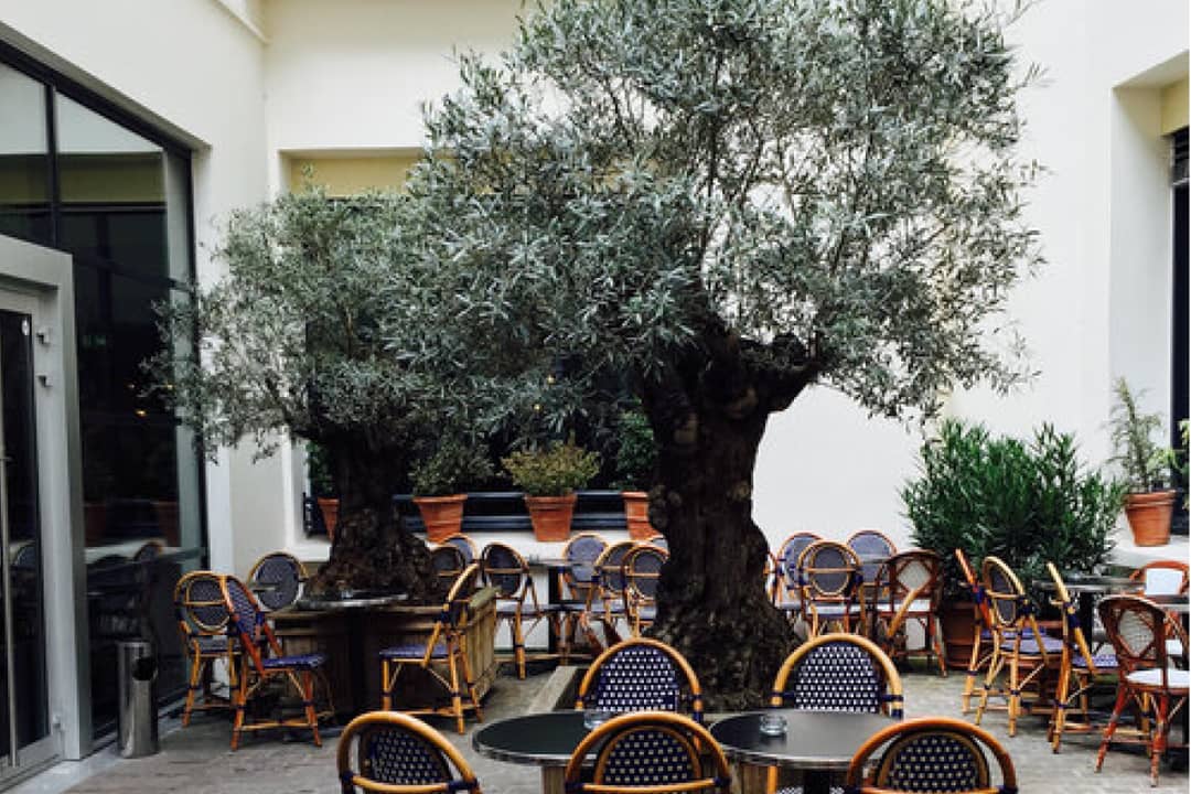 Coworking space at 28 Cours Albert 1er, Paris