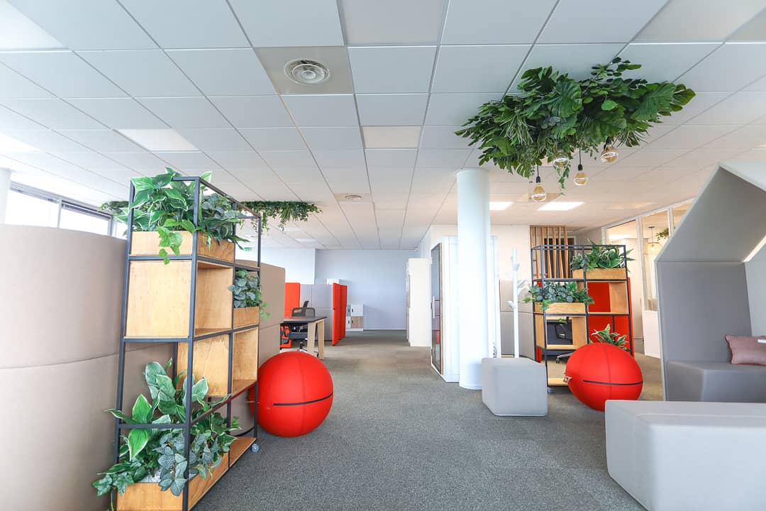 Coworking space at 5 Rue du Professeur Pierre Vellas, Toulouse – photo 1